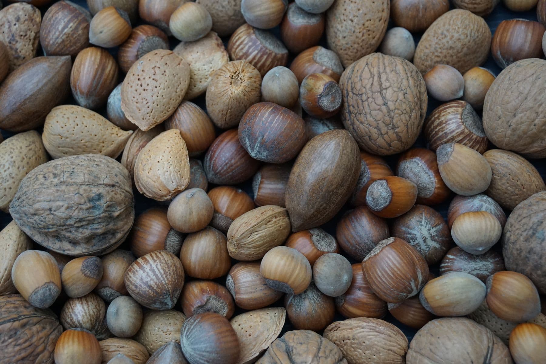 Close up texture of mixed nuts