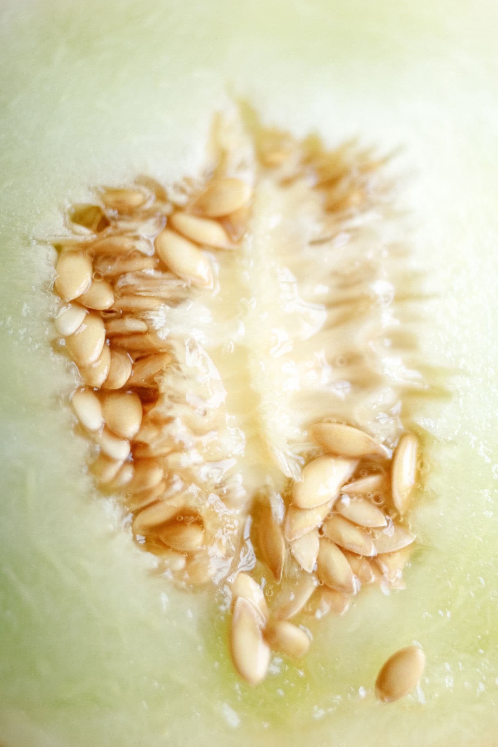 Roasted Watermelon Seeds (Magaz)