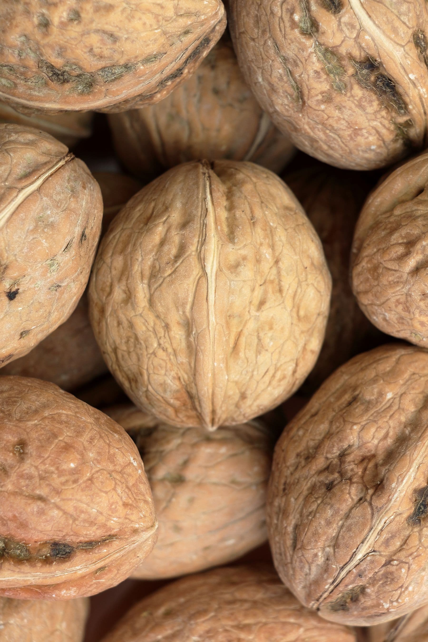 Walnuts
