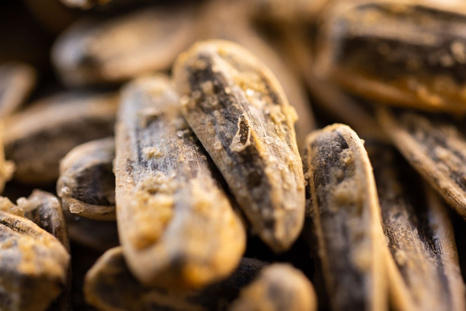 Sunflower Seeds